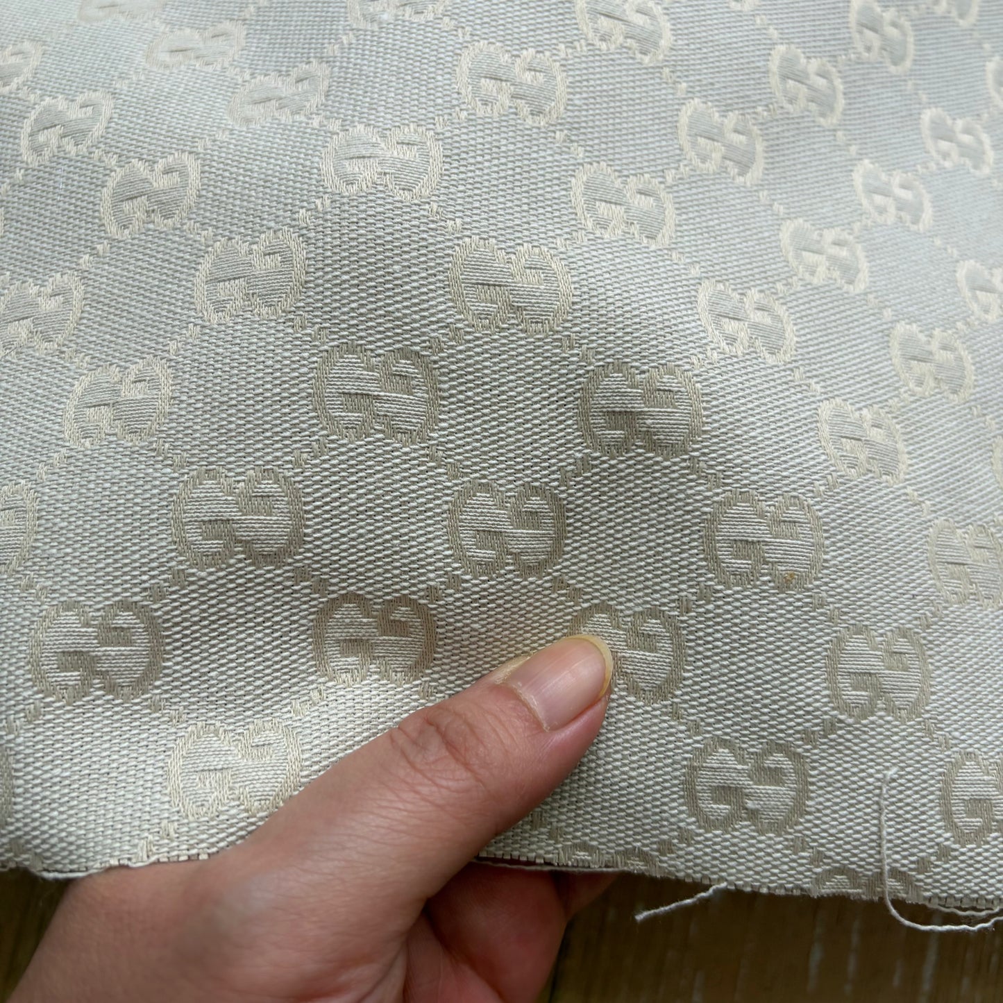 G41 Jacquard Canvas Fabric Greyish Beige
