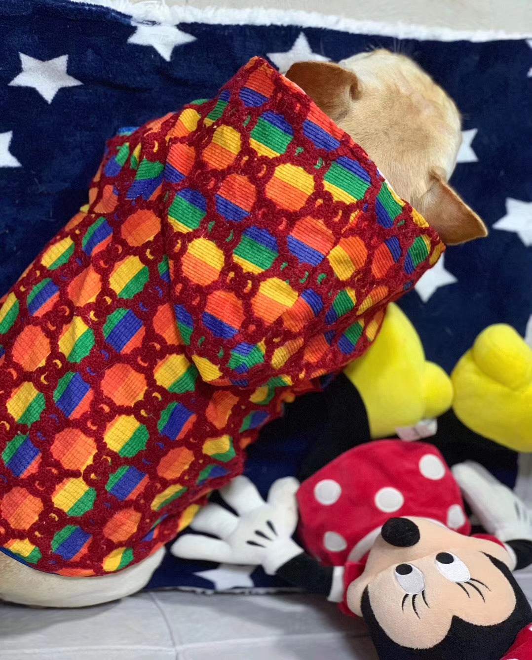 Gucci GG Fabric Rainbow by the yard